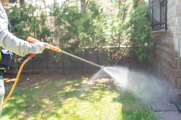 Professional Pest Control in Avondale, PA